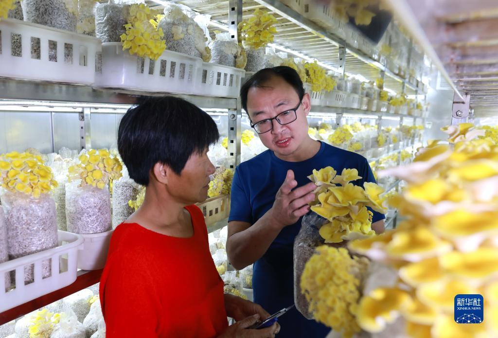 长龙捕鱼充值方式没有